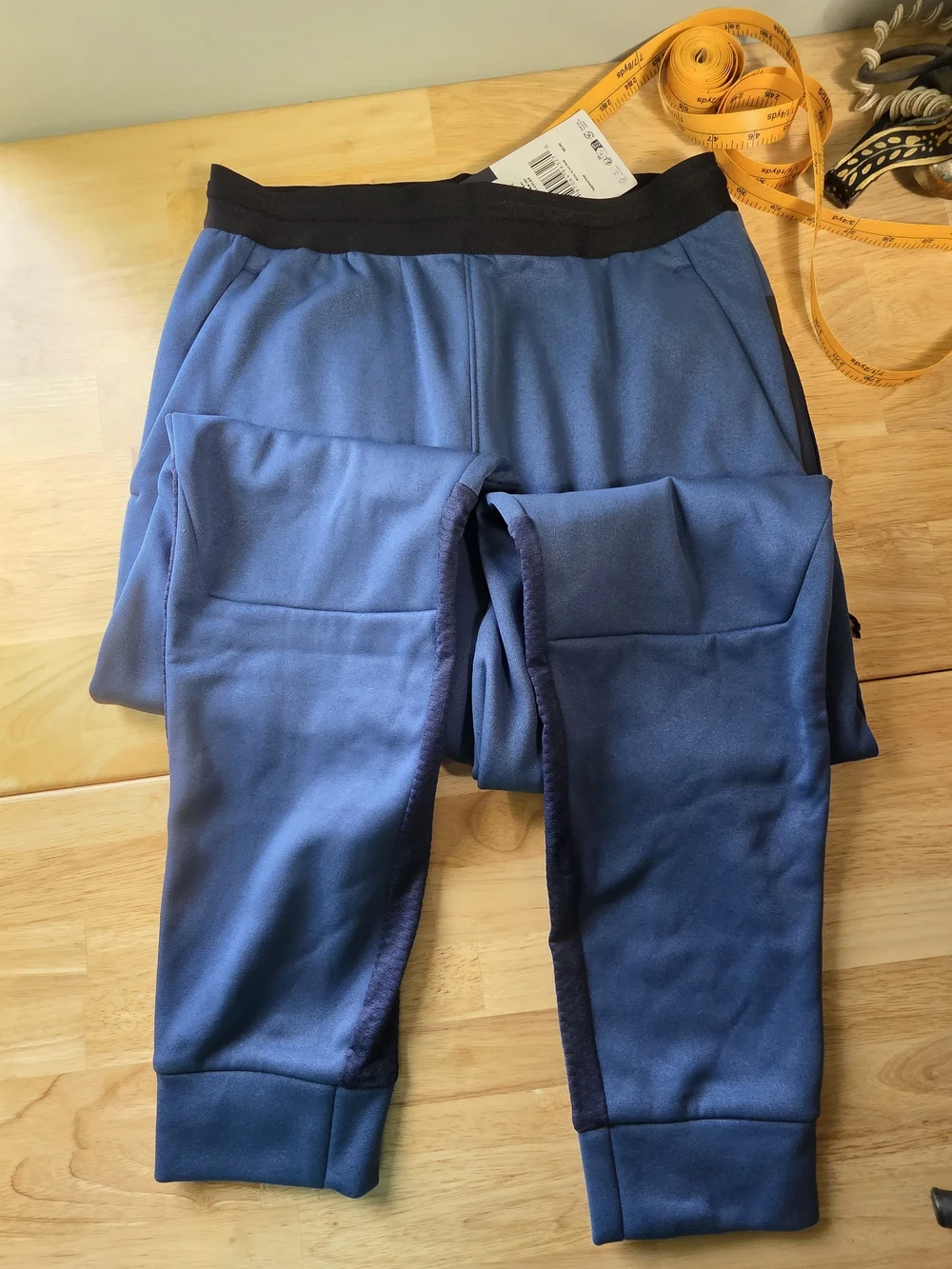 NWT The North Face Mens' Blue Active Jogger Pants
